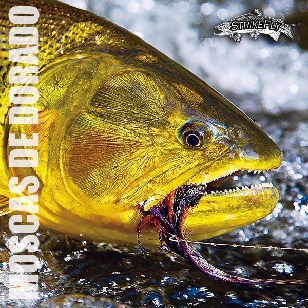 Moscas para Dorados Sintetica - Imagen 2