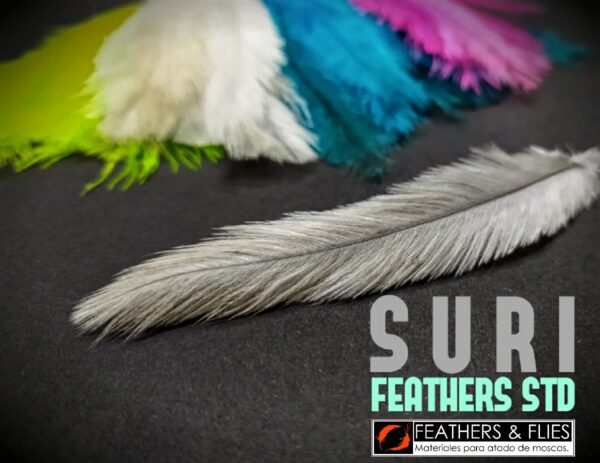 F&F Suri Feathers - Imagen 2