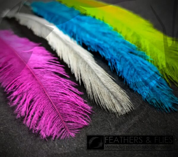 F&F Suri Feathers - Imagen 3