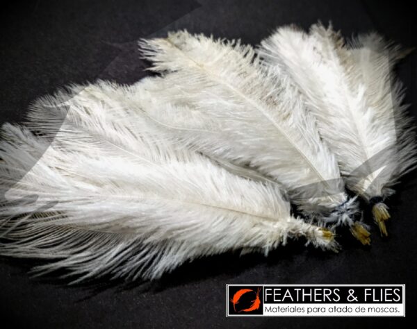 F&F Suri Feathers - Imagen 4