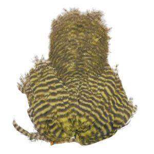 Spirit River Hen Neck Oliva